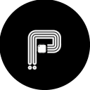 PamCoin Logo