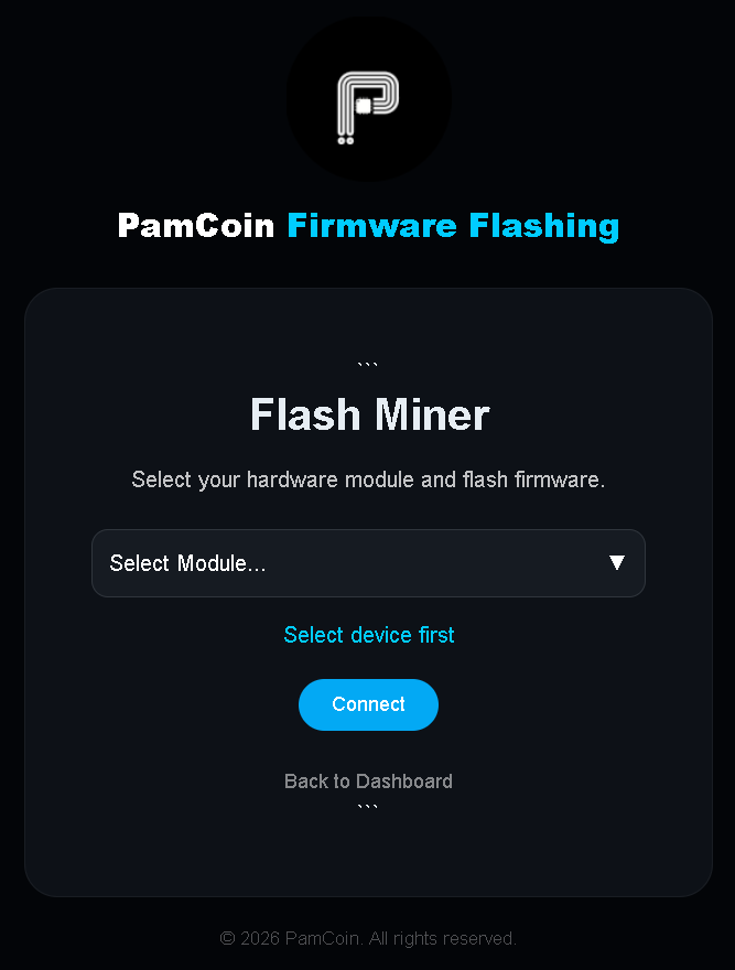 Flash Process